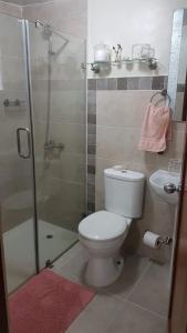 圣多明各Altos de Alemeda, Santo Domingo Oeste的浴室配有卫生间、淋浴和盥洗盆。