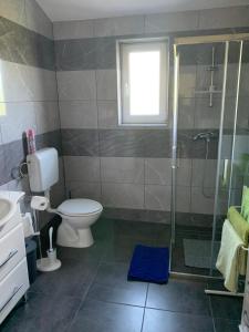 罗波里卡Pula Apartment E&E的一间带卫生间和玻璃淋浴间的浴室