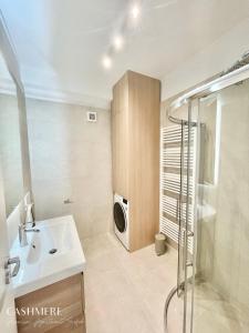 希欧福克CASHMERE Premium Apartment的一间带水槽和洗衣机的浴室