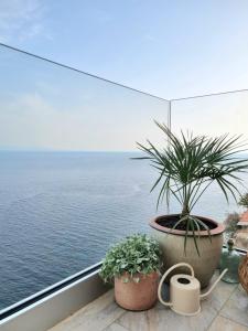 博尼法乔Mare è rocca的阳台上的盆栽植物,俯瞰着大海