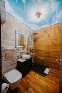 锡比乌Ap.Casa la Neamtu的一间带卫生间和水槽的浴室