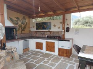 卡尔利拉基Varias Art House的厨房配有水槽和台面