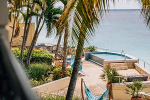 克拉伦代克The Bellafonte - Luxury Oceanfront Hotel的一个带游泳池和棕榈树的度假村