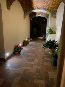 努奥罗Sul Corso Affittacamere的楼内带有盆栽的走廊