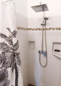 皮特尔角城Charmant pied-à-terre coeur de ville的带淋浴和浴帘的浴室
