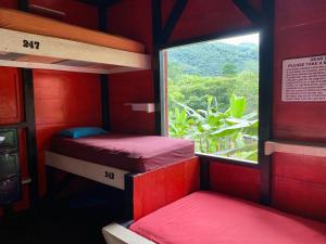 兰金格林格斯酒店的红色客房 - 带两张双层床和窗户