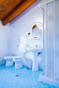 特维哥那诺大梅洛酒店的一间带水槽、卫生间和淋浴的浴室