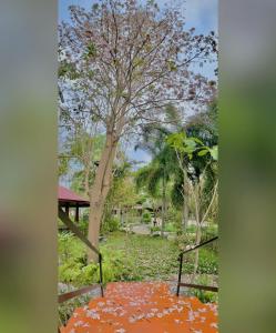 拉差汶里Keith Ratchaburi的享有公园和树木的景色