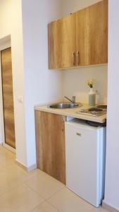 乌尔齐尼Ponte Apartments的一间带水槽和洗碗机的小厨房