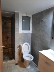 雅典Πάρκο Γουδή的浴室配有卫生间、淋浴和盥洗盆。