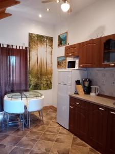 伊万科维奇公寓的厨房或小厨房
