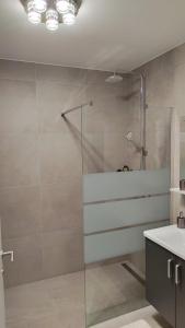 斯洛文尼亚格拉代茨Apartment Ozare的一间带玻璃淋浴和水槽的浴室