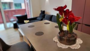 斯洛文尼亚格拉代茨Apartment Ozare的一张桌子上放着一团红花