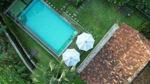 日惹日惹蓝色花园住宿加早餐旅馆的相册照片