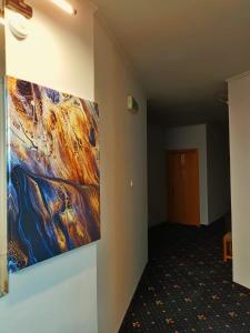 皮特什蒂Hotel Duet的挂在走廊墙上的画