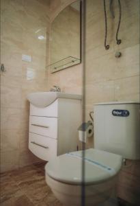 奥赫里德VILA PUPA , Elešec的一间带卫生间、水槽和镜子的浴室