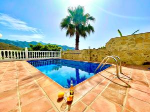弗里希利亚纳Villa Nuria的一座游泳池,里面种有棕榈树和一瓶啤酒
