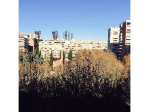 马德里Madrid Views Apartment的相册照片