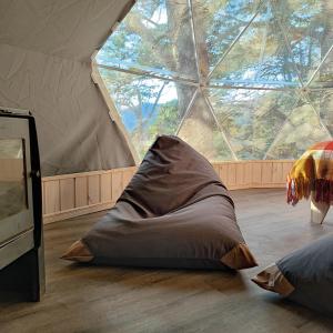 马拉卡韦罗Malalcahuello Eco Glamp的一张位于带大窗户的帐篷内的床铺
