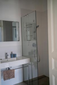 SchwanbergFerienwohnung Sandwirtin的带淋浴、盥洗盆和镜子的浴室