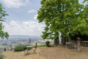 阿西西Residenza Messer Pajola的山坡上树下的桌椅