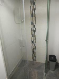 麦德林ESTADIO APARTA HOTEL 201的浴室里设有玻璃门淋浴