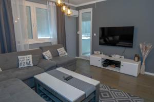 卢卡维卡Athena Apartman的带沙发和平面电视的客厅