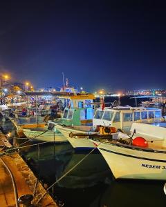 切什梅Larimar Hotel Cesme的一群船在晚上停靠在港口