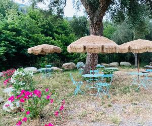 OretaGite U Licetu A la Campagne的一组桌子和椅子,放在树下,有雨伞
