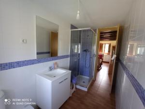桑坦德CASA RURAL EN RIAÑO-SOLORZANO的一间带水槽、淋浴和镜子的浴室