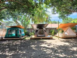 ZamboanguitaShenanigans Glamping Resort的树下院子内的一组帐篷