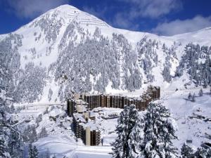 La Plagne TarentaiseStudio Plagne Bellecôte, 1 pièce, 4 personnes - FR-1-181-1999的山地,有积雪覆盖,有建筑