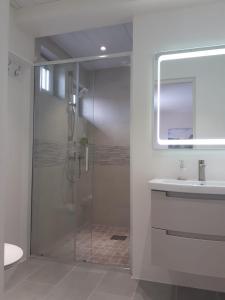 哈普萨卢Casper B&B的一间带玻璃淋浴和水槽的浴室