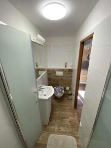 穆捷尼采Vinný sklep u Mňa的一间带水槽和卫生间的浴室