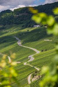 皮斯波尔特Kettern Urlaub的绿地中间的一条 ⁇ 绕的道路