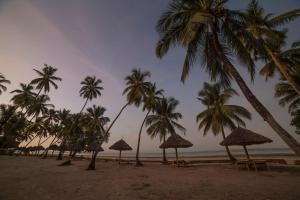 乌罗阿Antonio Beach Tree House Hotel & Spa的海滩上的一群遮阳伞和棕榈树