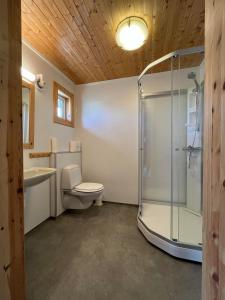 雷讷托普波伊卢尔布尔酒店的带淋浴、卫生间和盥洗盆的浴室