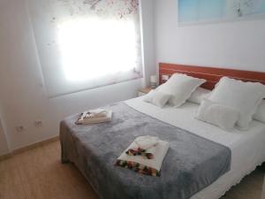 萨洛Salou Apartamento con encanto Martin&RoseHouse的一间卧室配有带毛巾的床和窗户。