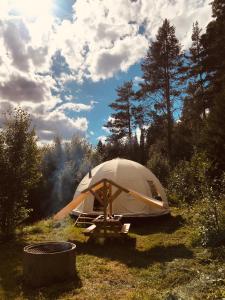 BjuråkerFrisbo Lodge - Romantic night in a dome tent lake view的坐在草地上的帐篷