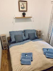 艾斯特根Small Lake Apartman的一间卧室配有一张带蓝色毛巾的床