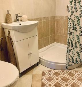 艾斯特根Small Lake Apartman的一间带水槽、卫生间和淋浴的浴室