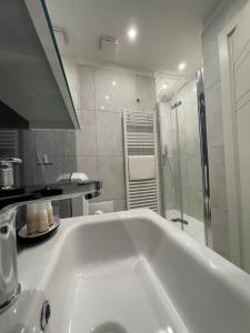 乌迪内Bnb apartment Ferrara的浴室配有大型白色水槽和淋浴。