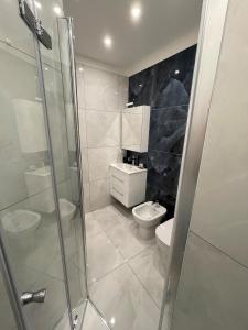乌迪内Bnb apartment Ferrara的一间带卫生间和玻璃淋浴间的浴室