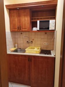 沙罗什保陶克Harmónia Panzió的一间带水槽和微波炉的小厨房