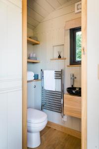 朗塞斯顿Boutique Cornish Shepherd's Hut with Hot Tub的一间带卫生间和水槽的小浴室