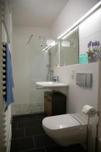 萨尔堡Ferienwohnung mitten in Saarburg的一间带卫生间、水槽和镜子的浴室