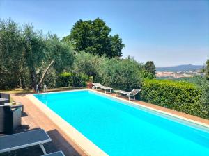 拉迪孔多利菲奥林扎尼别墅的院子里设有2个长椅的游泳池