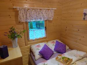 BachowiceDomek Kalilla的小房间配有沙发和窗户