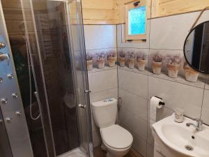 BachowiceDomek Kalilla的带淋浴、卫生间和盥洗盆的浴室