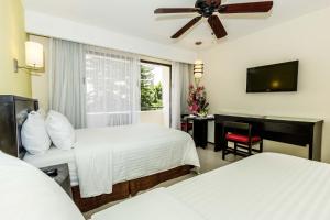 库埃纳瓦卡Casa Francisco的酒店客房设有两张床和一台平面电视。